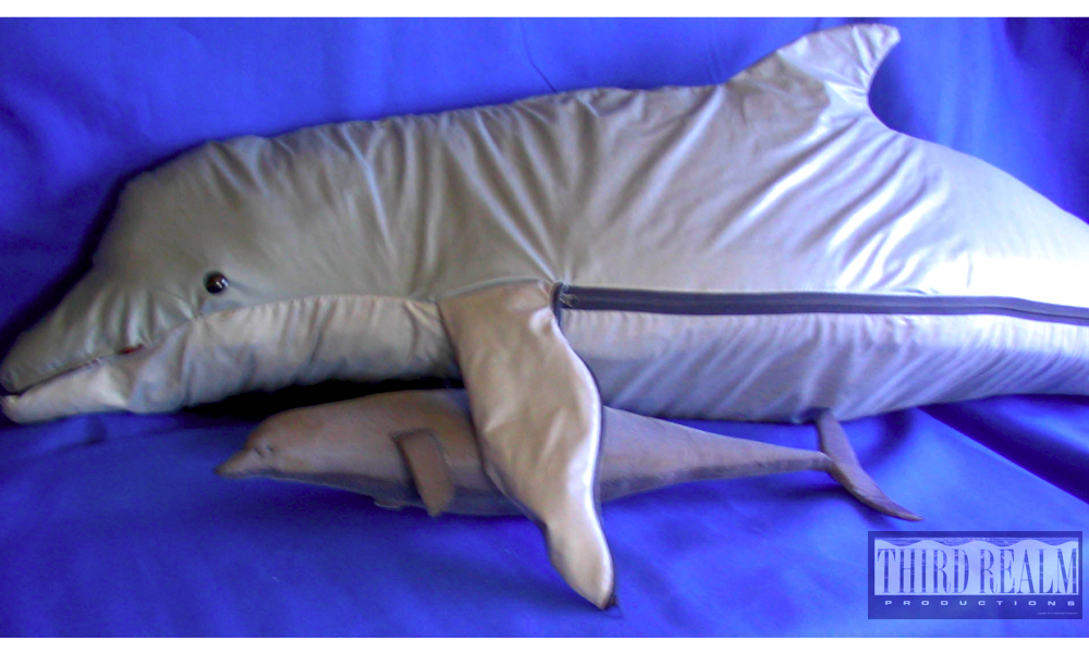 Bottlenose dophin model